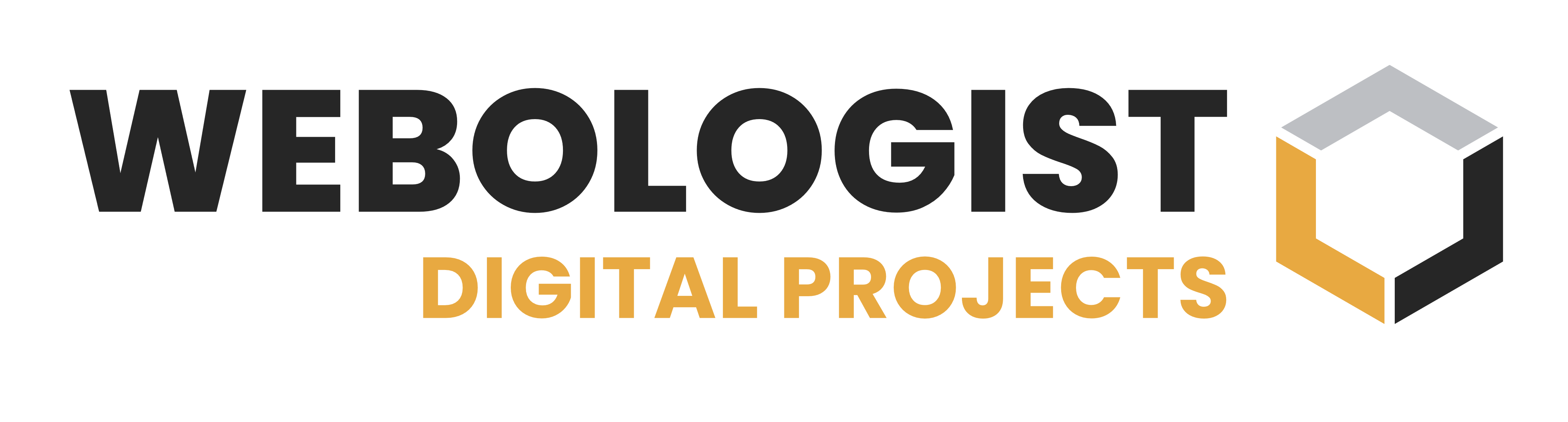 webologist digital projects